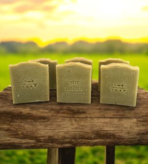 Exfoliating CP Soap & Dead Sea Mud
